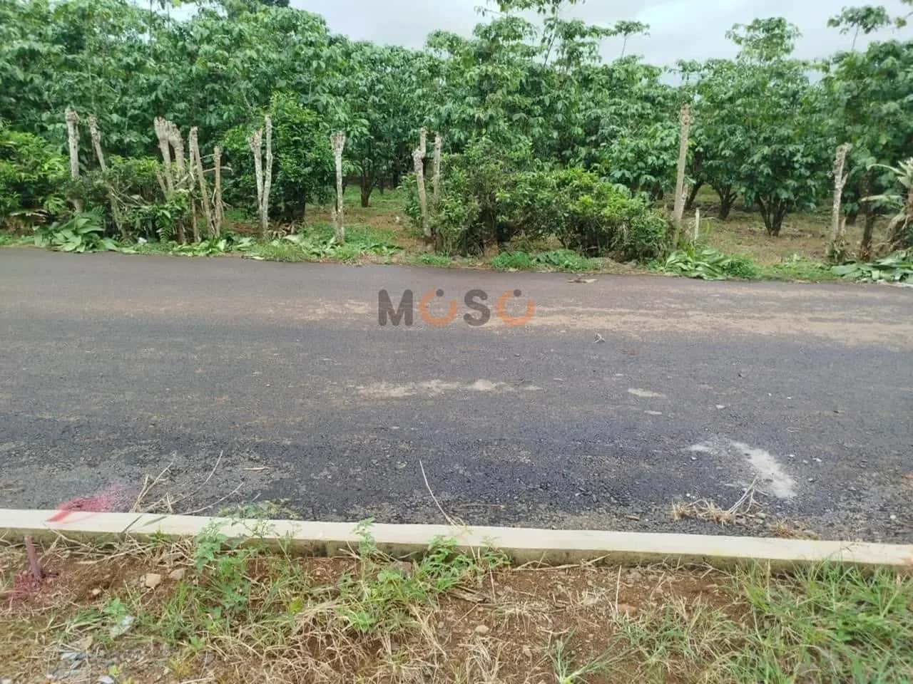 Bán đất Bảo Lâm, Lâm Đồng – giá 398 triệu — Hình 3