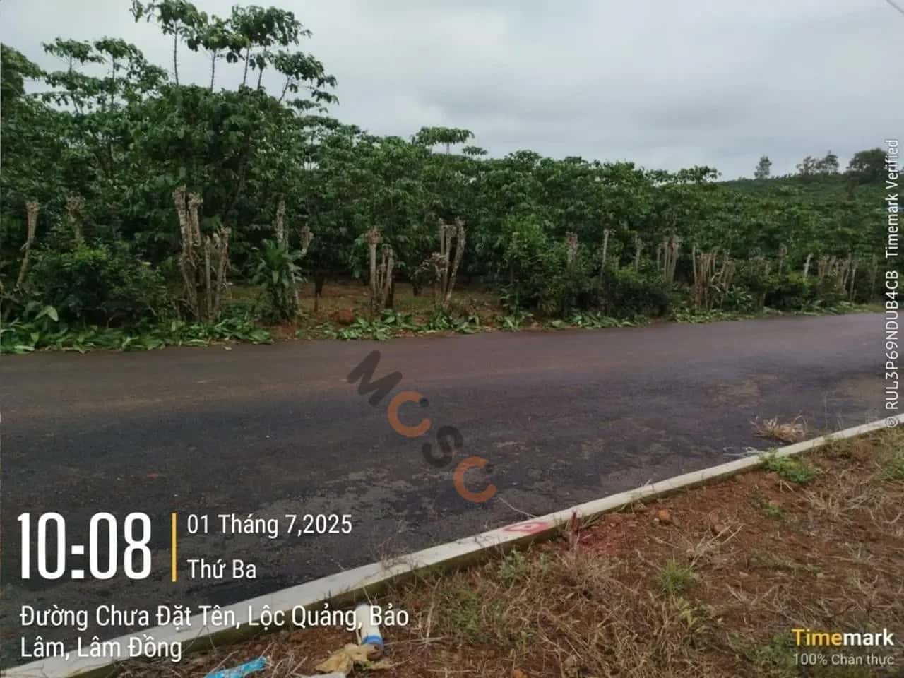 Bán đất Huyện Bảo Lâm, Lâm Đồng – giá 358.3 triệu — Hình 2