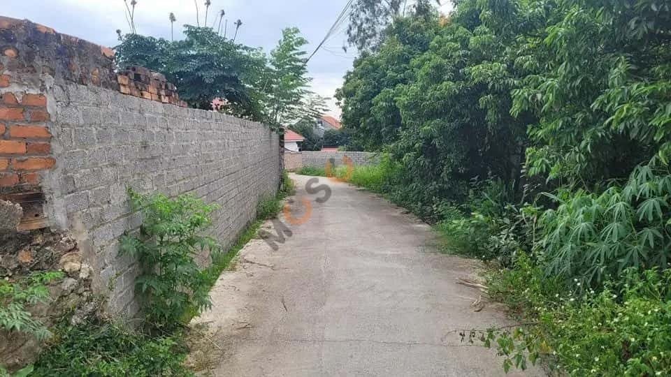 Bán đất Huyện Quế Võ, Bắc Ninh – giá 1.1 tỷ — Hình 3