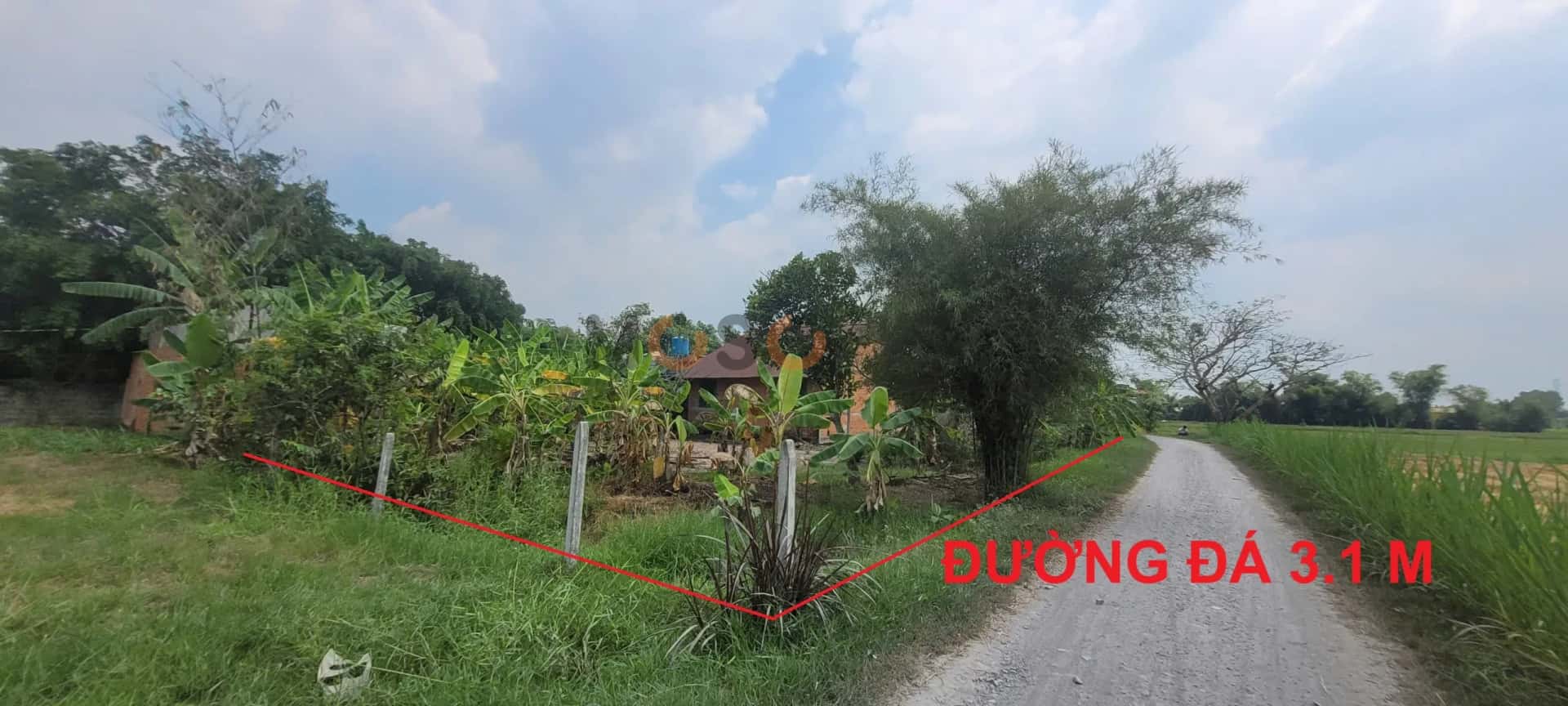 Bán đất Ấp Bàu Trai Thượng Đức Hòa, Long An – giá 2.5 tỷ — Hình 2