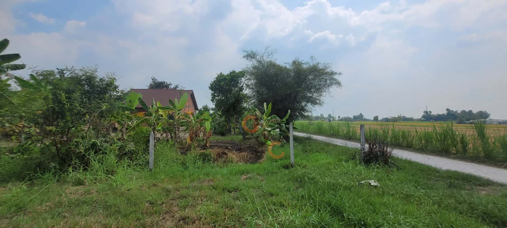 Bán đất Ấp Bàu Trai Thượng Đức Hòa, Long An – giá 2.5 tỷ — Hình 3