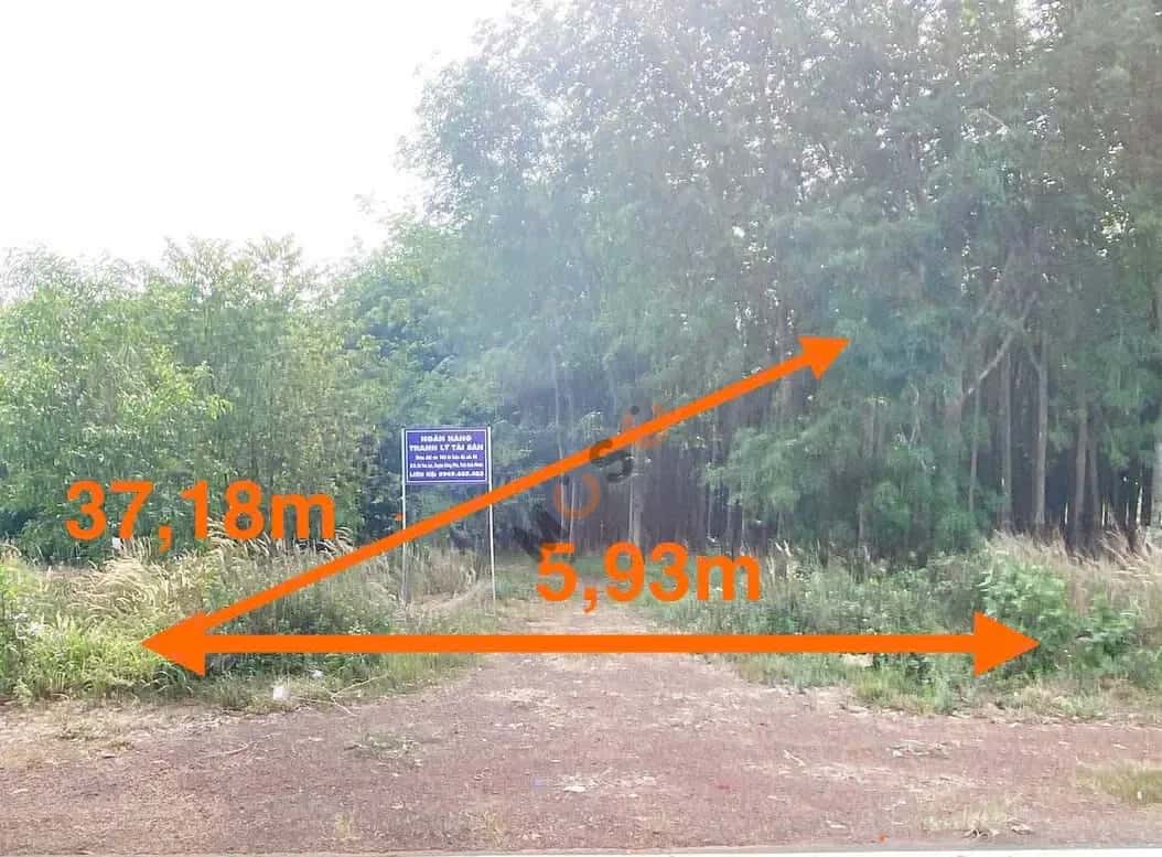Bán đất Huyện Đồng Phú, Bình Phước – giá 306.1 triệu — Hình 2