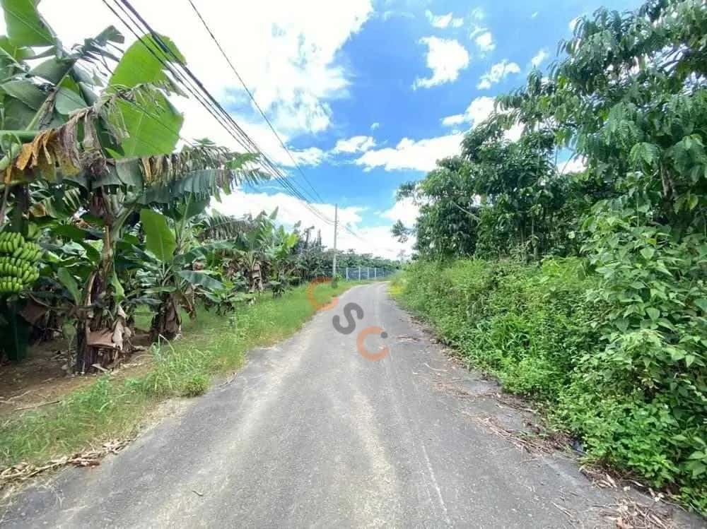 Bán đất Huyện Bảo Lâm, Lâm Đồng – giá 565 triệu — Hình 3