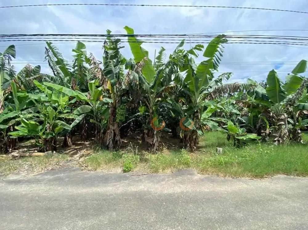 Bán đất Huyện Bảo Lâm, Lâm Đồng – giá 437.6 triệu — Hình 3