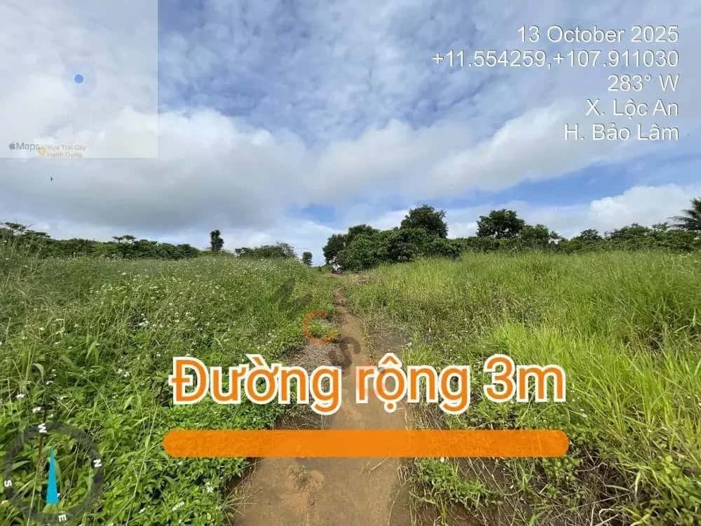 Bán đất Huyện Bảo Lâm, Lâm Đồng – giá 493.7 triệu — Hình 2