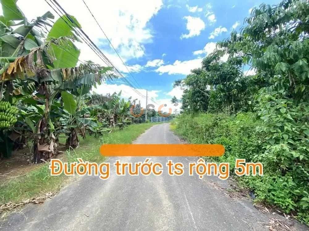 Bán đất Huyện Bảo Lâm, Lâm Đồng – giá 437.6 triệu — Hình 2