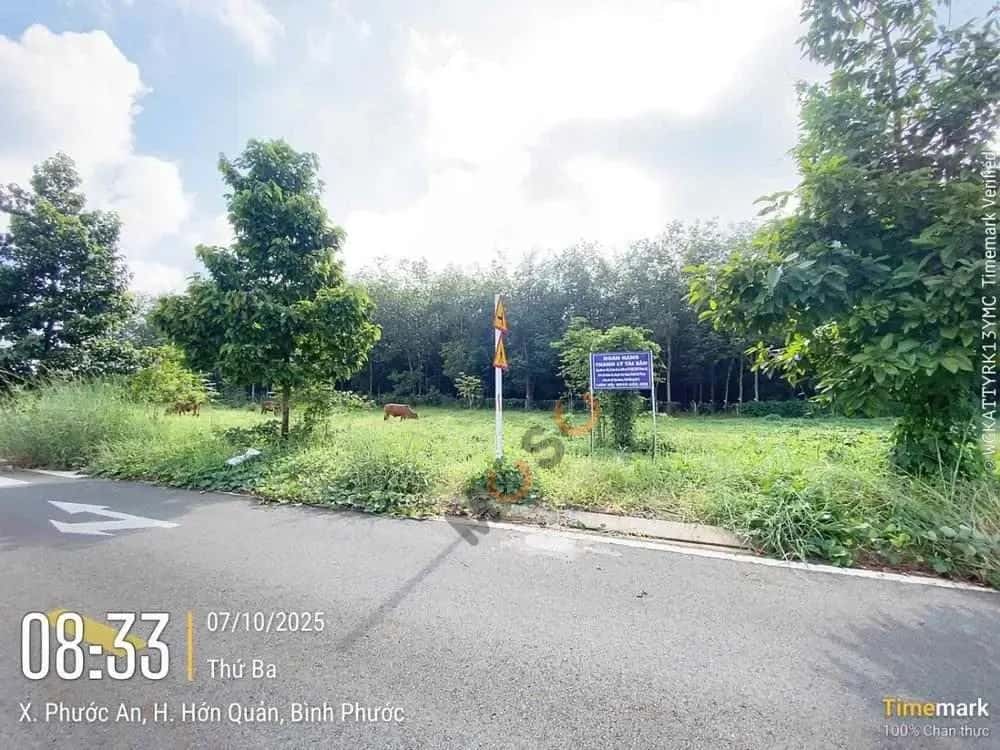Bán đất Huyện Hớn Quản, Bình Phước – giá 355 triệu — Hình 3