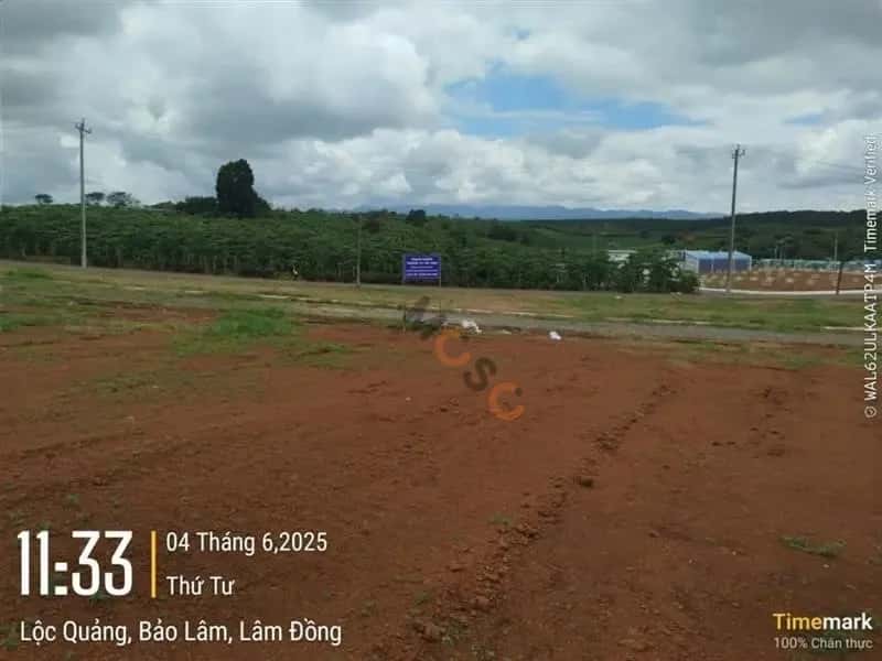 Bán đất Huyện Bảo Lâm, Lâm Đồng – giá 503.5 triệu — Hình 3