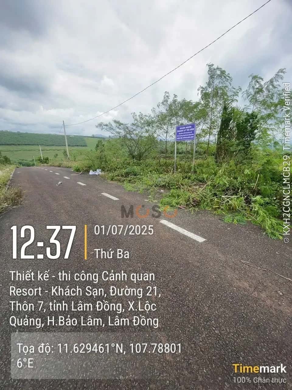 Bán đất Huyện Bảo Lâm, Lâm Đồng – giá 703 triệu — Hình 3