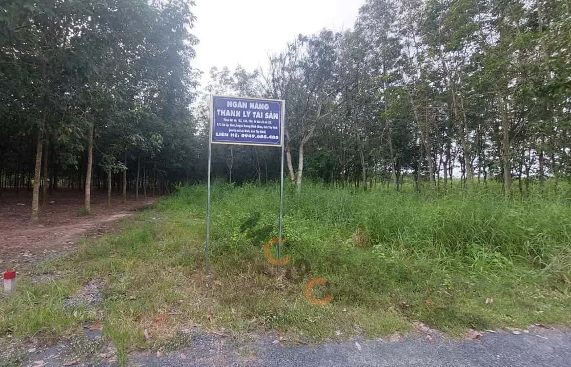 Bán đất Huyện Dương Minh Châu, Tây Ninh – giá 1.3 tỷ — Hình 3