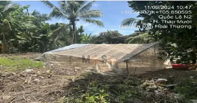 Bán đất Quốc lộ N2 Huyện Tháp Mười, Đồng Tháp – giá 2 tỷ — Hình 3