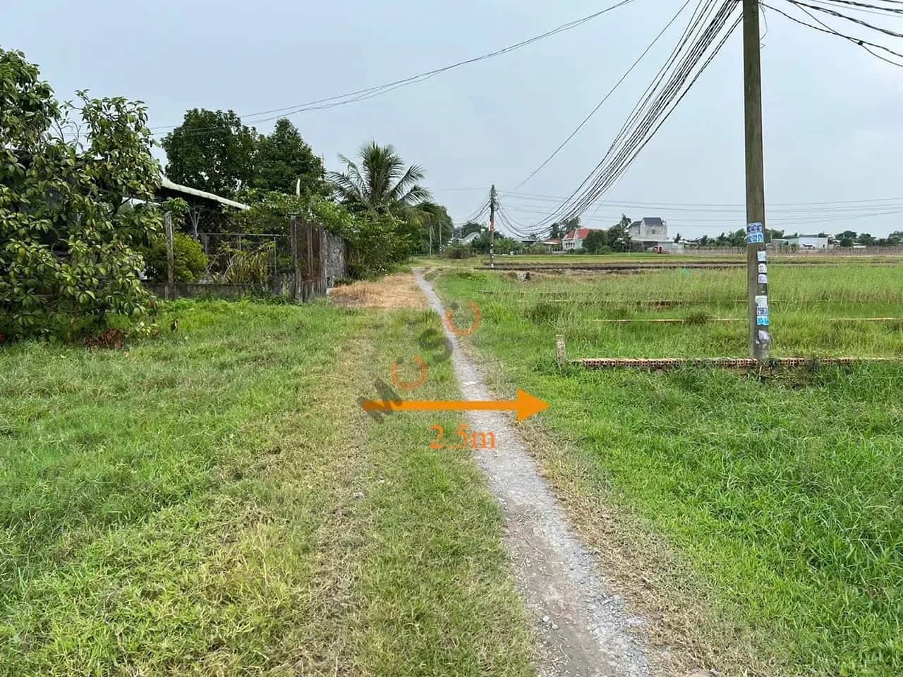 Bán đất B Đức Hòa, Long An – giá 1.3 tỷ — Hình 3