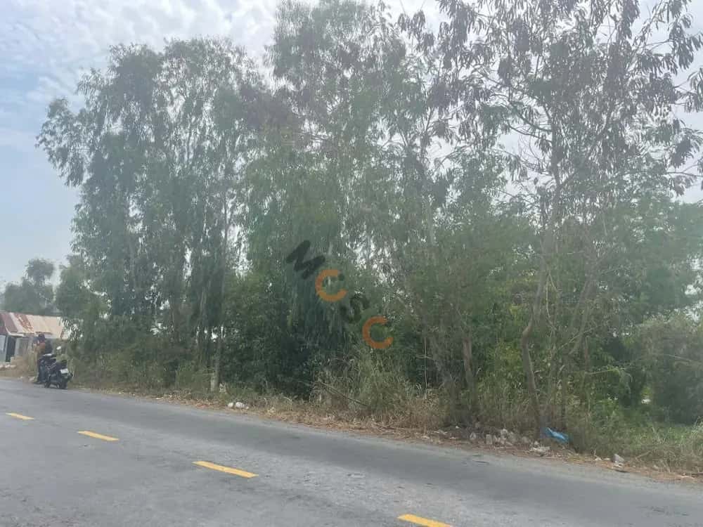 Bán đất Quốc lộ 62 Tân Thạnh, Long An – giá 2.4 tỷ — Hình 2