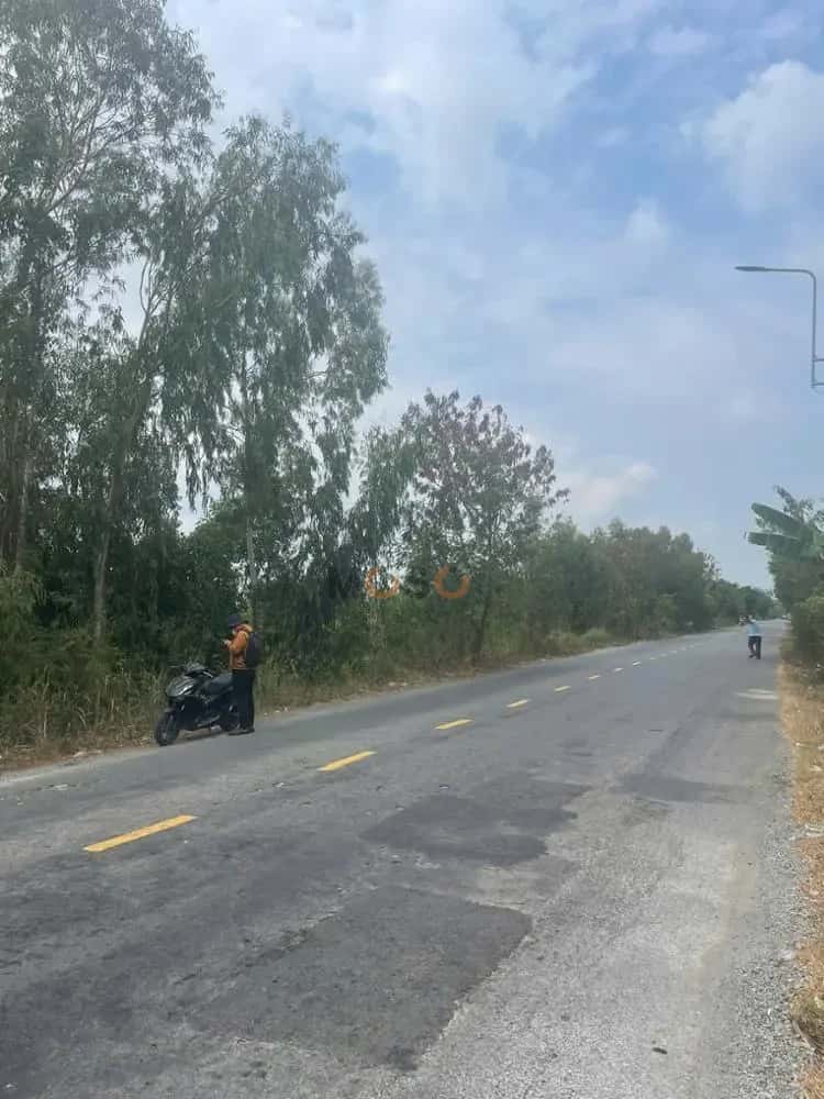 Bán đất Quốc lộ 62 Tân Thạnh, Long An – giá 2.4 tỷ — Hình 3
