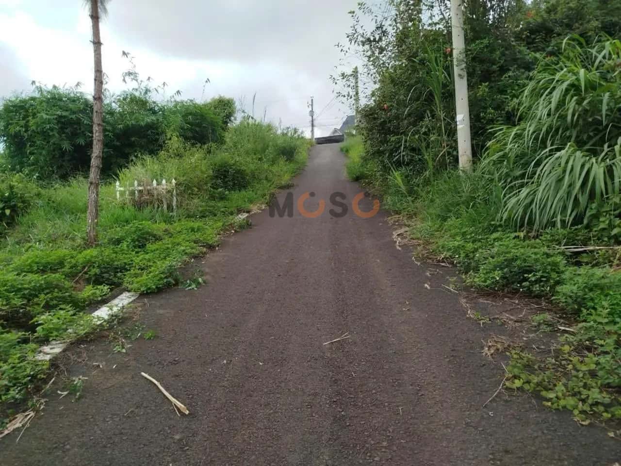 Bán đất Huyện Bảo Lâm, Lâm Đồng – giá 608 triệu — Hình 2