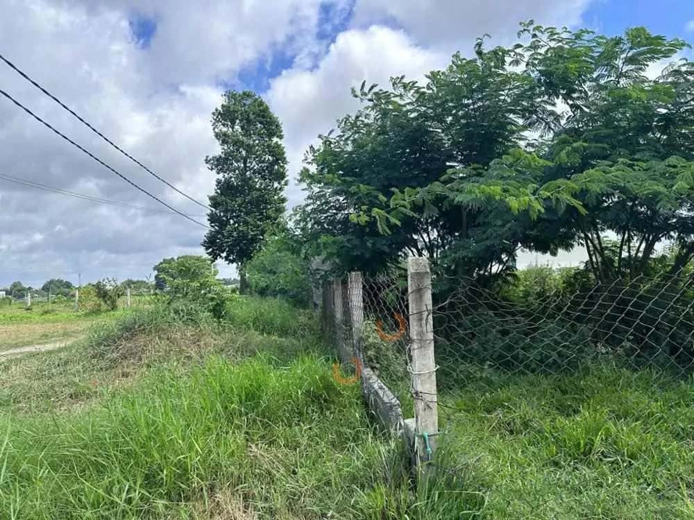 Bán đất Đức Hòa, Long An – giá 2.4 tỷ — Hình 2