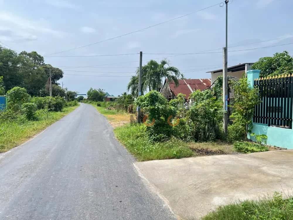 Bán đất Đức Ngãi Đức Hòa, Long An – giá 2.2 tỷ — Hình 3