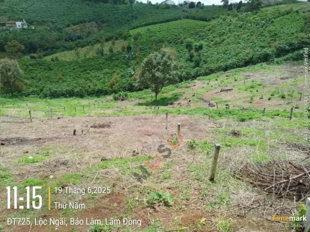 Bán đất Huyện Bảo Lâm, Lâm Đồng – giá 754 triệu — Hình 2