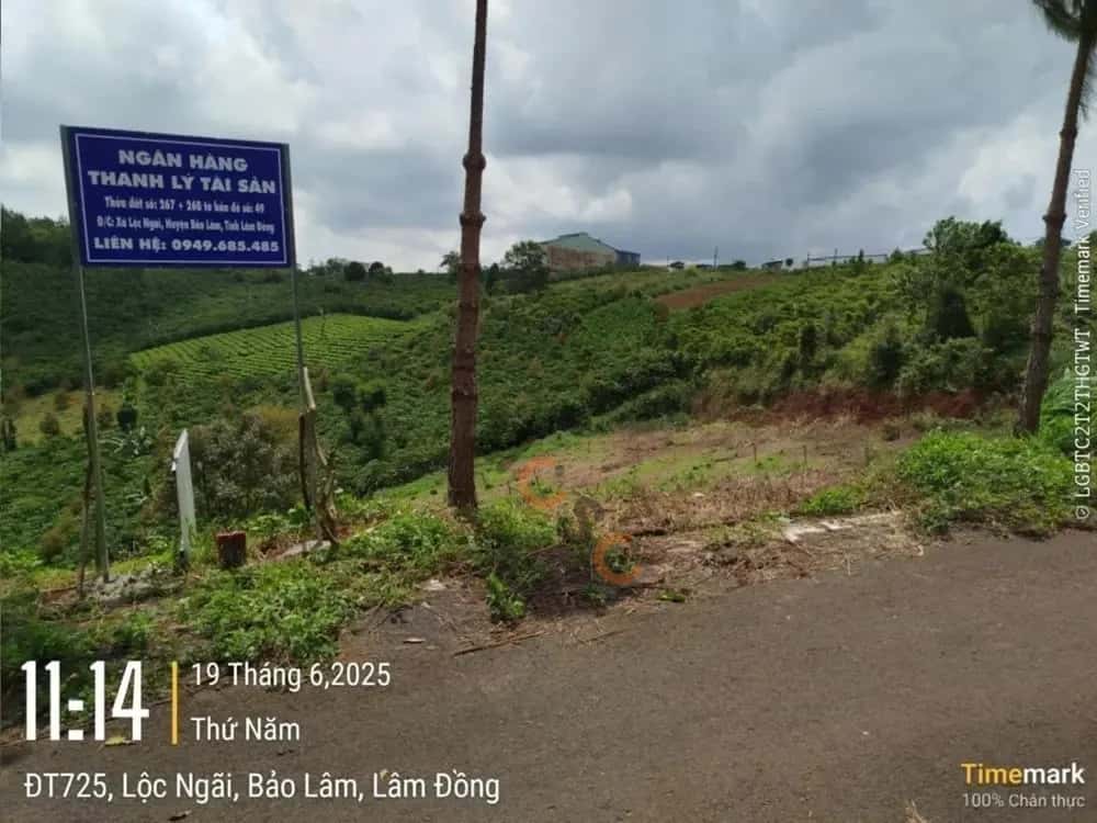 Bán đất Huyện Bảo Lâm, Lâm Đồng – giá 754 triệu — Hình 3