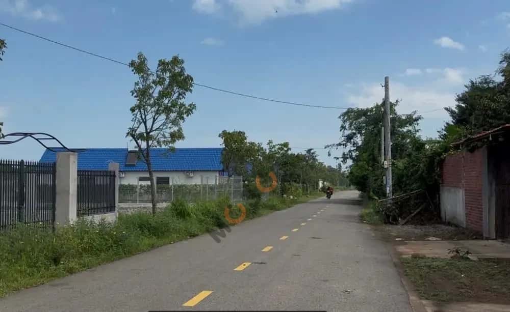 Bán đất Đất Đỏ, BRVT – giá 785 triệu — Hình 3