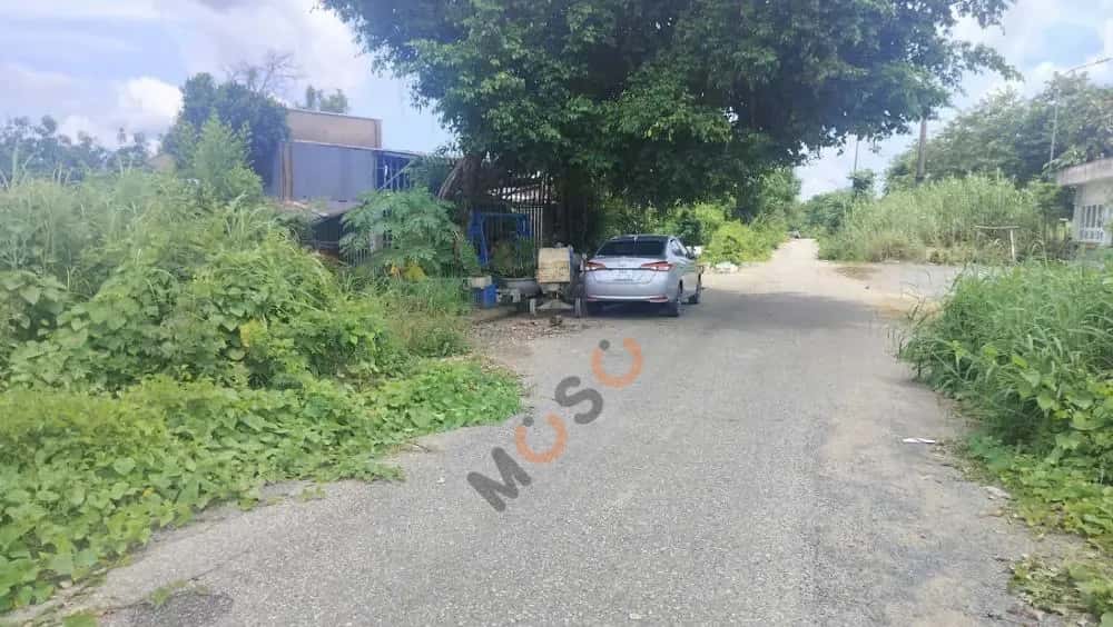 Bán đất Huyện Cao Lãnh, Đồng Tháp – giá 1.2 tỷ — Hình 2