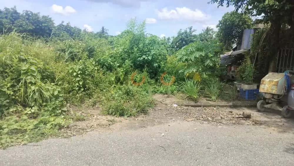 Bán đất Huyện Cao Lãnh, Đồng Tháp – giá 1.2 tỷ — Hình 3