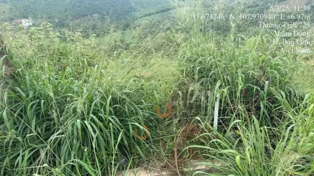 Bán đất Huyện Bảo Lâm, Lâm Đồng – giá 581 triệu — Hình 2