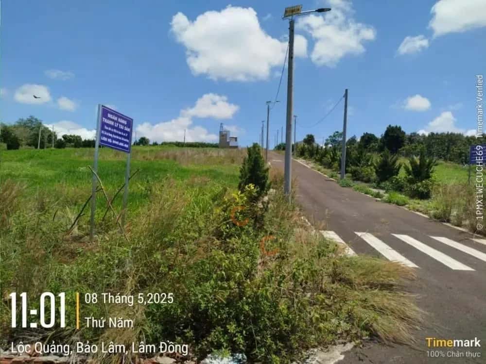 Bán đất Huyện Bảo Lâm, Lâm Đồng – giá 400 triệu — Hình 3