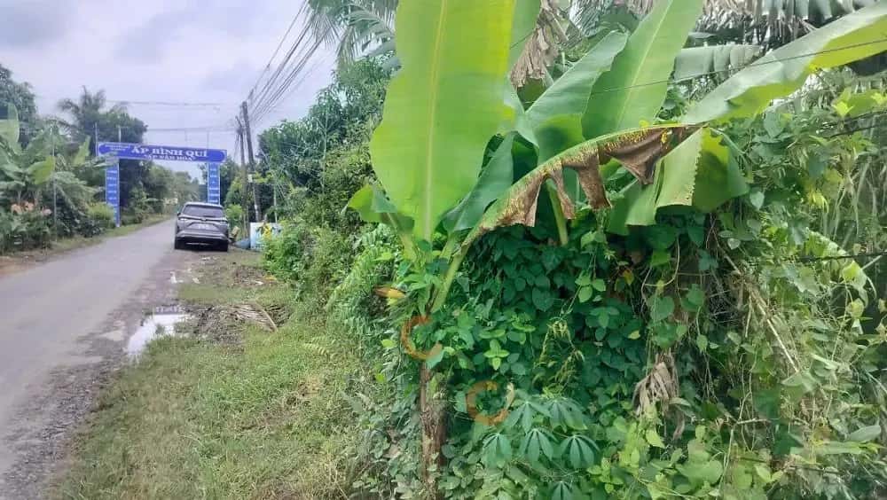 Bán đất Huyện Tam Bình, Vĩnh Long – giá 1.2 tỷ — Hình 3