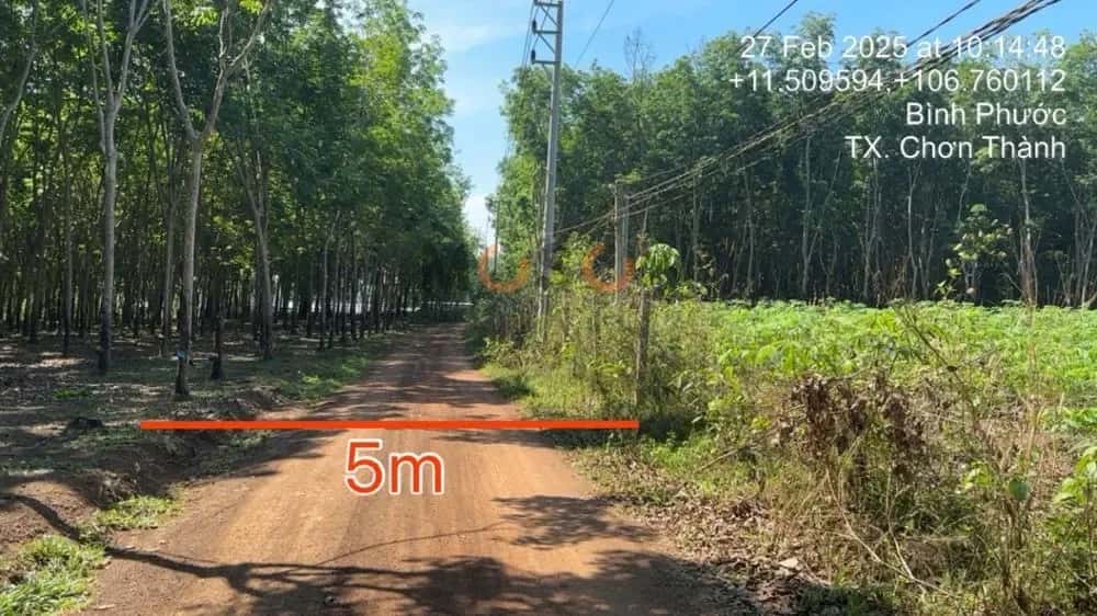 Bán đất Chơn Thành, Bình Phước – giá 2.2 tỷ — Hình 2