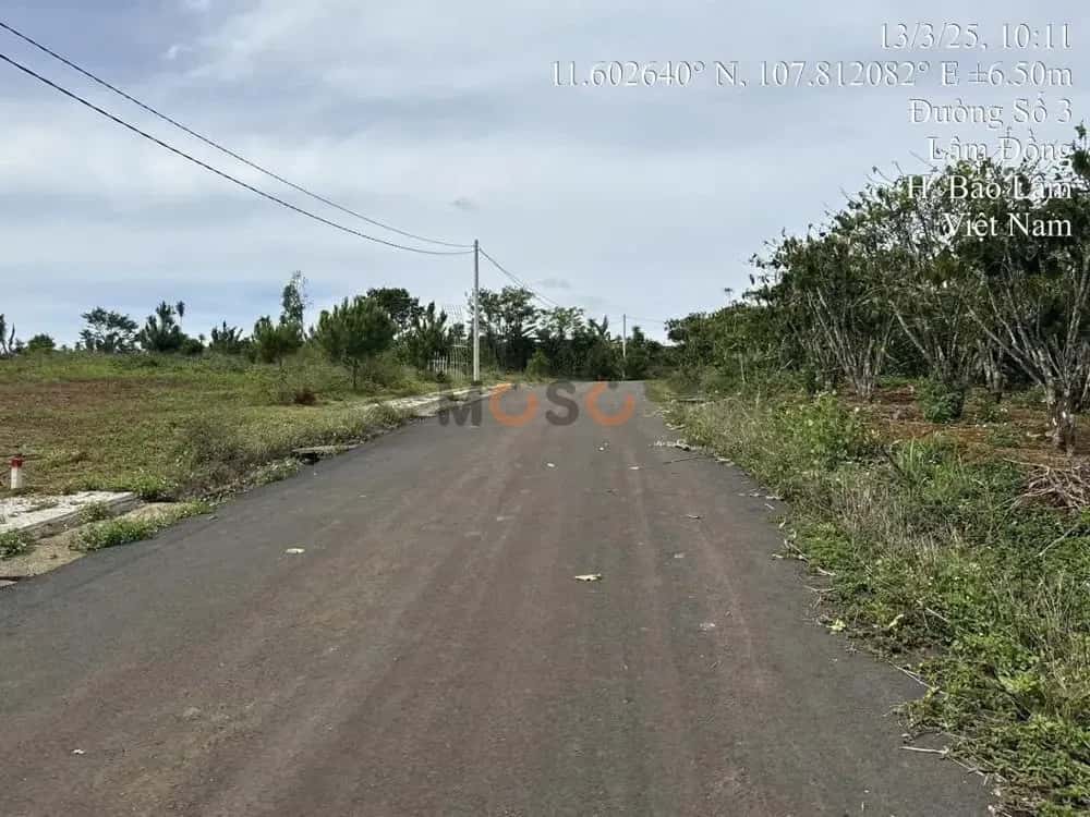 Bán đất Đường Số 3 Huyện Bảo Lâm, Lâm Đồng – giá 724 triệu — Hình 2