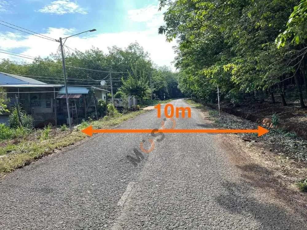 Bán đất Huyện Đồng Phú, Bình Phước – giá 863.9 triệu — Hình 3