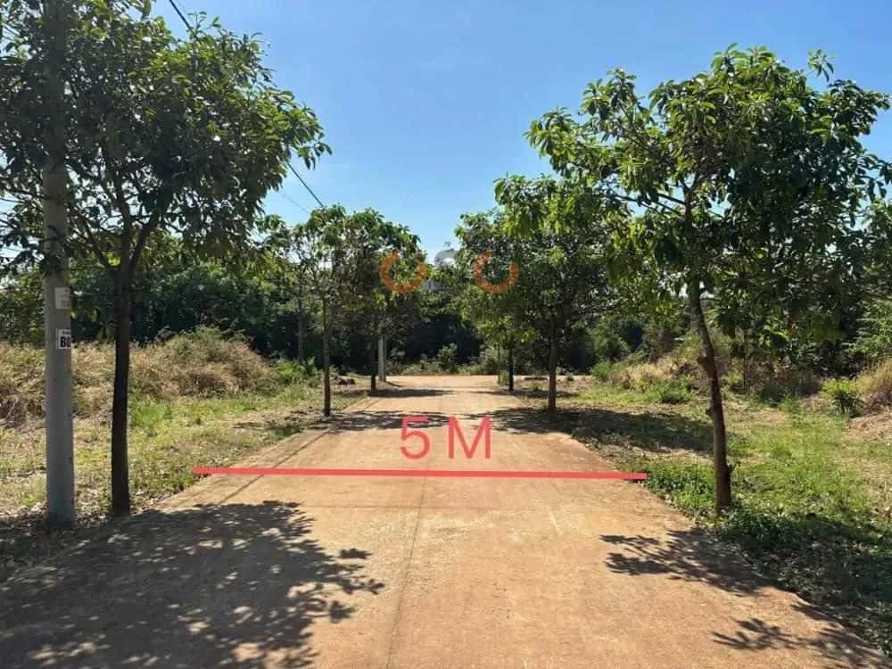 Bán đất Đường Nguyễn Thông Thị xã Phước Long, Bình Phước – giá 205 triệu — Hình 2