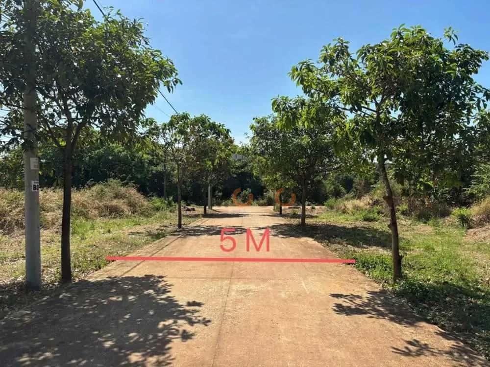 Bán đất Đường Nguyễn Thông Thị xã Phước Long, Bình Phước – giá 138 triệu — Hình 2