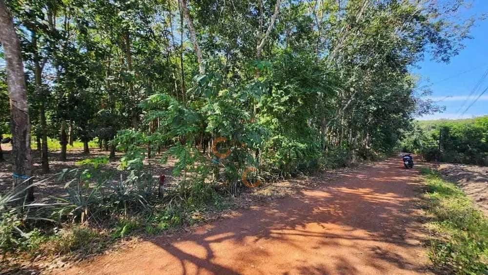 Bán đất An Bình Huyện Phú Giáo, Bình Dương – giá 936 triệu — Hình 3
