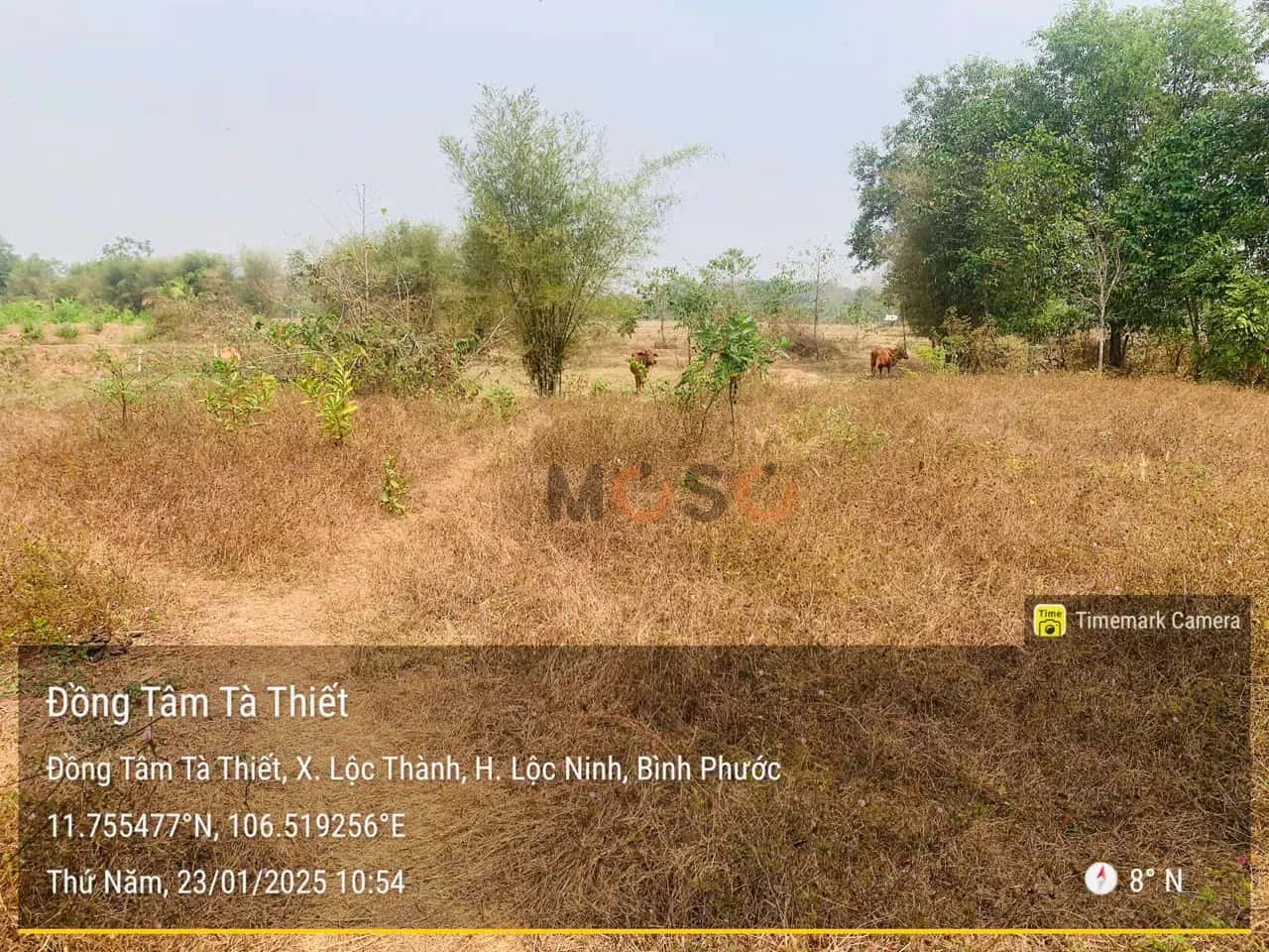 Bán đất Huyện Lộc Ninh, Bình Phước – giá 2.3 tỷ — Hình 2