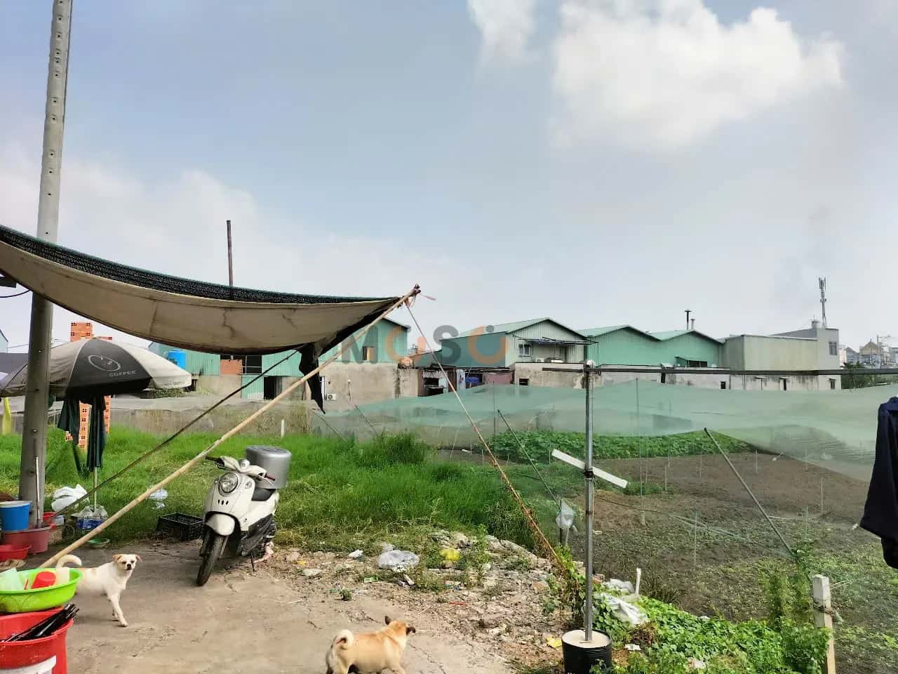 Bán đất Bùi Văn Ngữ Quận 12, TP. Hồ Chí Minh – giá 3.5 tỷ — Hình 2