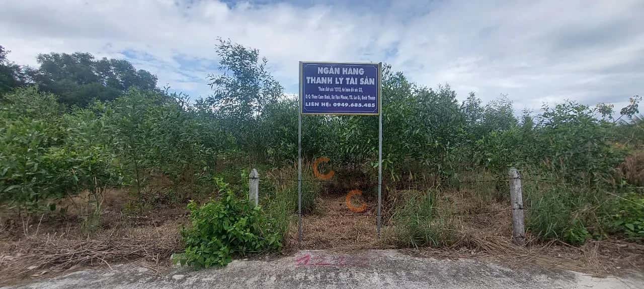 Bán đất Thị xã La Gi, Bình Thuận – giá 1 tỷ — Hình 3