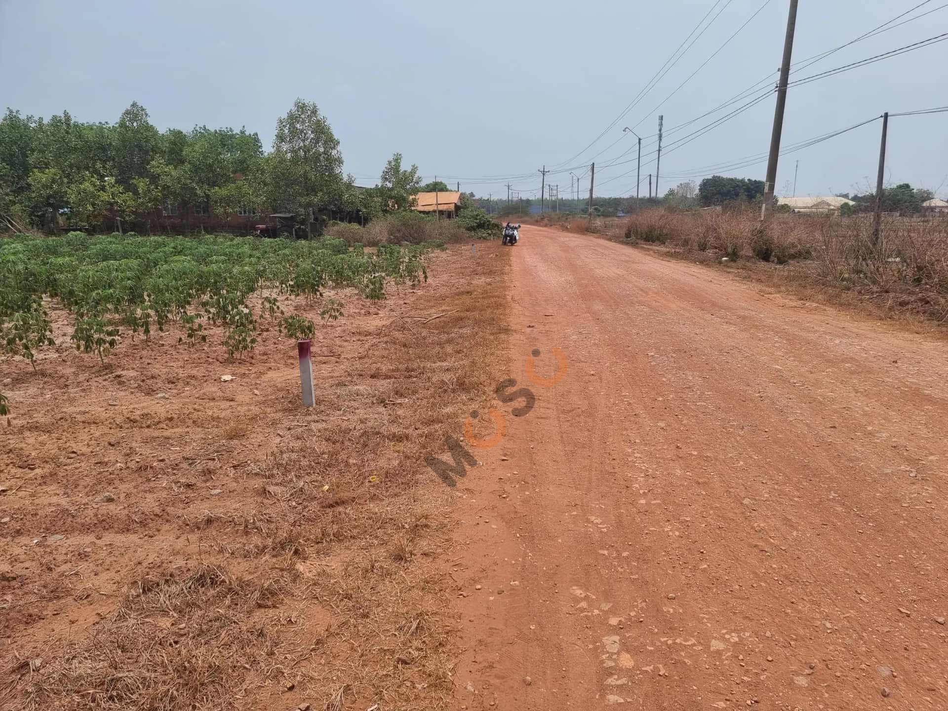 Bán đất Huyện Tân Châu, Tây Ninh – giá 611 triệu — Hình 2