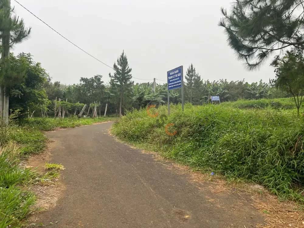Bán đất Thành phố Bảo Lộc, Lâm Đồng – giá 1.3 tỷ — Hình 3
