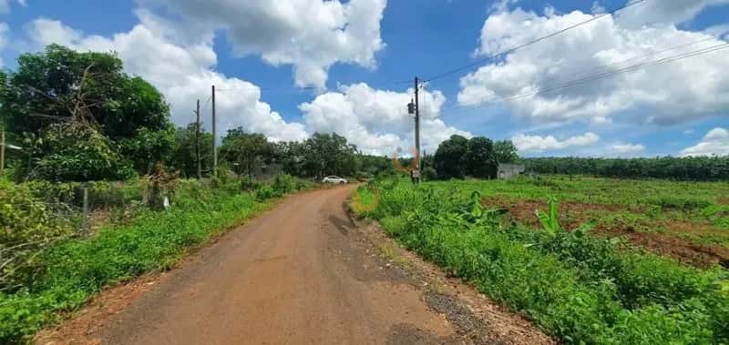 Bán đất Huyện Bù Gia Mập, Bình Phước – giá 126 triệu — Hình 3