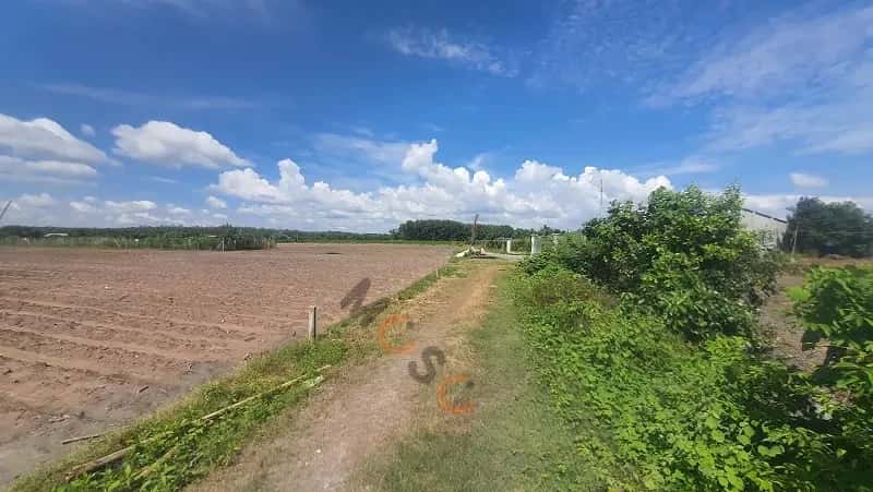 Bán đất Huyện Dương Minh Châu, Tây Ninh – giá 299 triệu — Hình 2