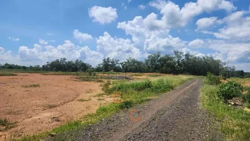 Bán đất Huyện Đồng Phú, Bình Phước – giá 183.1 triệu — Hình 2