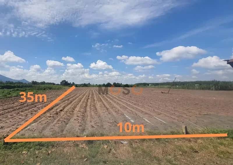 Bán đất Huyện Dương Minh Châu, Tây Ninh – giá 299 triệu — Hình 3
