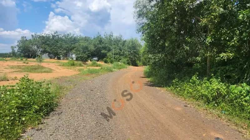 Bán đất Huyện Đồng Phú, Bình Phước – giá 190.4 triệu — Hình 2