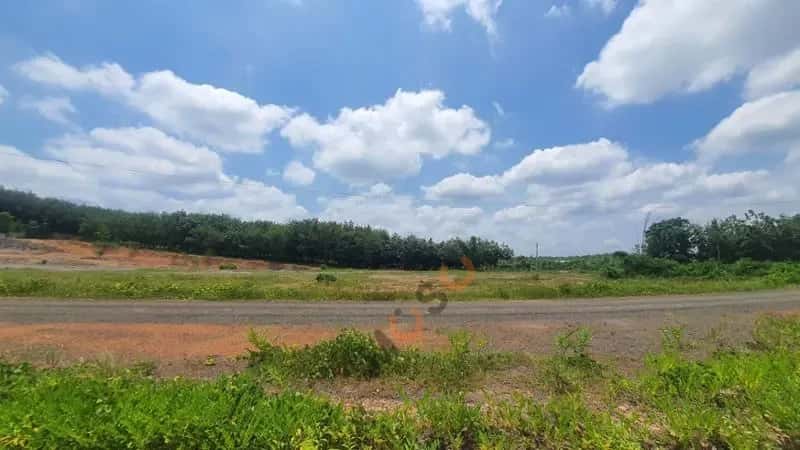 Bán đất Huyện Đồng Phú, Bình Phước – giá 166 triệu — Hình 3