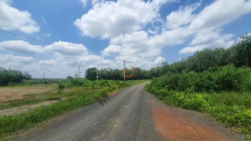 Bán đất Huyện Đồng Phú, Bình Phước – giá 166 triệu — Hình 2