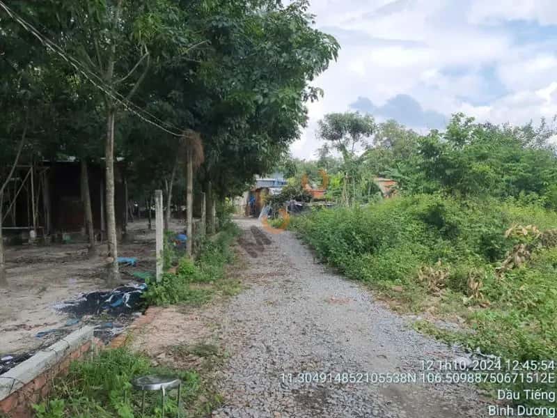 Bán đất Dầu Tiếng, Bình Dương – giá 648.3 triệu — Hình 3