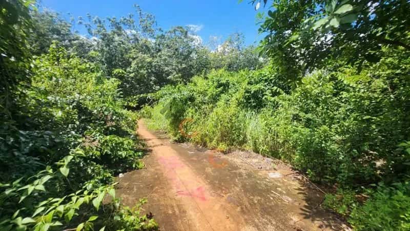 Bán đất Thị xã Phước Long, Bình Phước – giá 148.2 triệu — Hình 3