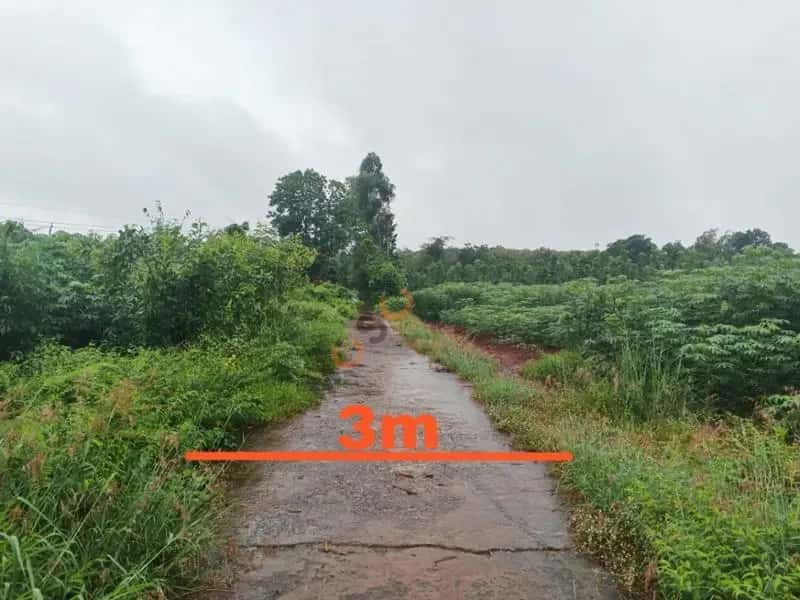 Bán đất Huyện Hớn Quản, Bình Phước – giá 106.3 triệu — Hình 3
